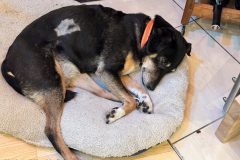 Parfum-Workshop-20250727-005