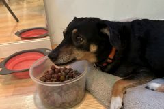 Parfum-Workshop-20250727-099