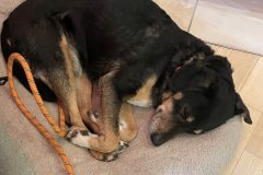 Parfum-Workshop-20250308-076