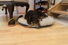 Parfum-Workshop-20250309-009