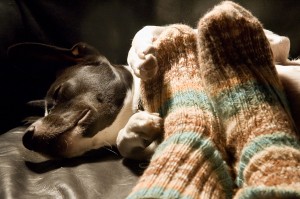 Gemuetlich Gemuetlich