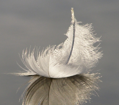 Achtsamkeit im täglichen Leben 8 federleicht