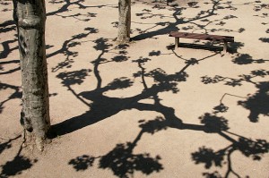 licht und schatten licht und schatten