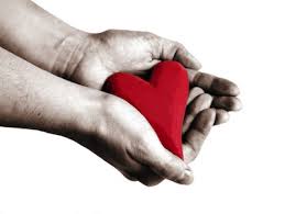 Projekt Herzwärme 1 Herzwärme1