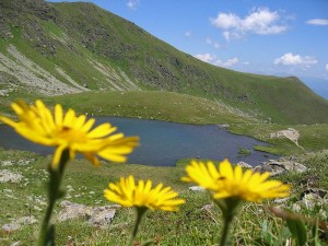 Pfingsten - Schmecken und Entdecken auf einer Hütte in der Steiermark 4 800px-Zirbitzkogel_sp2