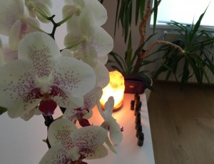 Wellness Aktion - AromaTouch 6 IMG_6486 web