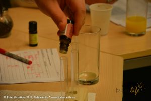 Parfum Workshop Vertiefung 4 ParfumWorkshop20170219 89