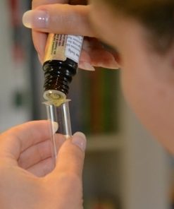 Parfum Workshop Wien