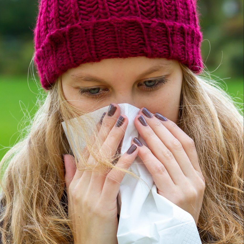 Cajeput - das Wunderöl gegen Erkältungen! 1 Erkältungen vorbeugen