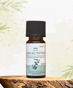 Sommer Aromatipps: ätherische Öle bei Heuschnupfen 5 Aromaöl Eucalyptus