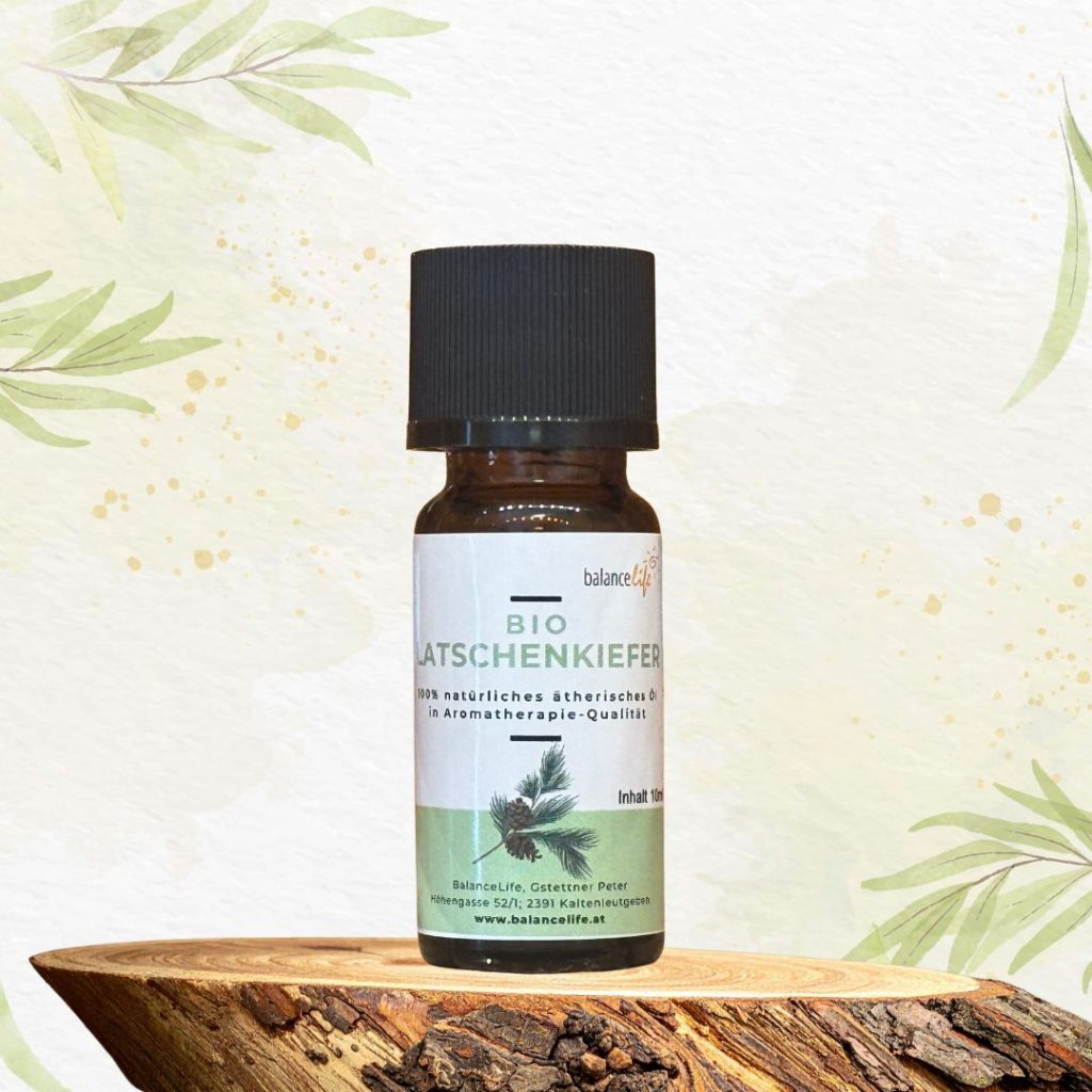 🍃 Bei Erkältung & Verkühlung: natürliche Unterstützung mit ätherischen Ölen 🌿 4 Aromaöl Latschenkiefer
