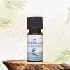Pfefferminze BIO BalanceLife - 100% naturreines, ätherisches Öl, 10 ml 1 Aromaöl Pfefferminze