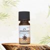 Sternanis BIO BalanceLife - 100% naturreines, ätherisches Öl, 10ml 2 Aromaöl Sternanis