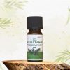 Weißtanne BIO BalanceLife - 100% naturreines, ätherisches Öl, 10ml 1 Aromaöl Weißtanne