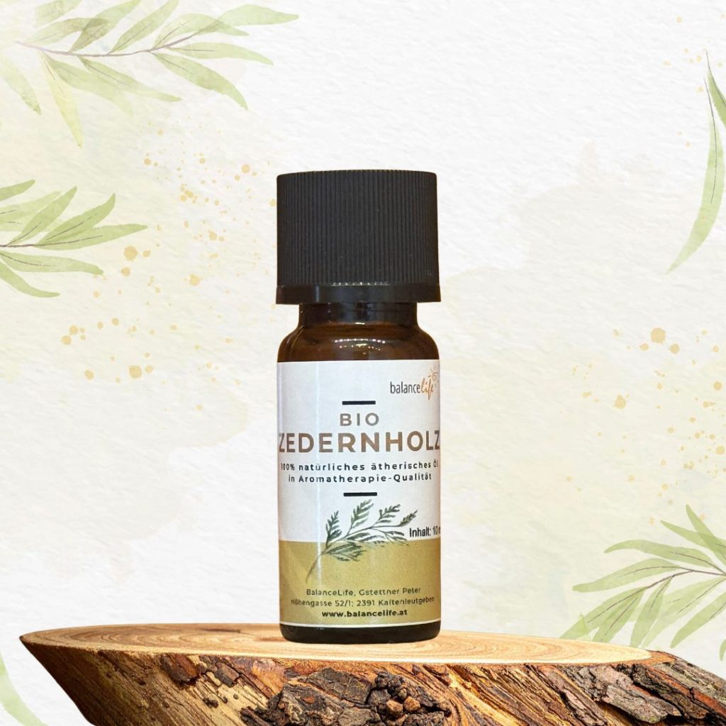 Kleine Geschenkidee: Der Duftgnom aus Holz 🎁 6 Aromaöl Zedernholz