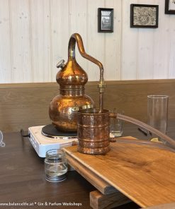 Gin Workshop 202308 04