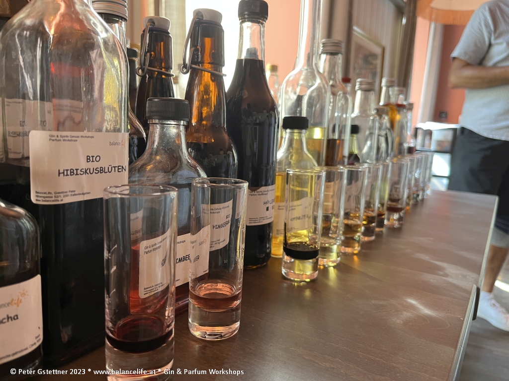 Gin Workshop 202308 30