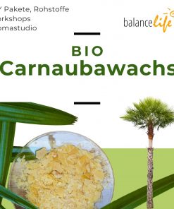 Bio Carnaubawachs 50g