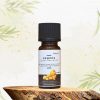 Benzoe BalanceLife - 100% naturreines, ätherisches Öl, 10ml 1 Aromaöl Benzoe