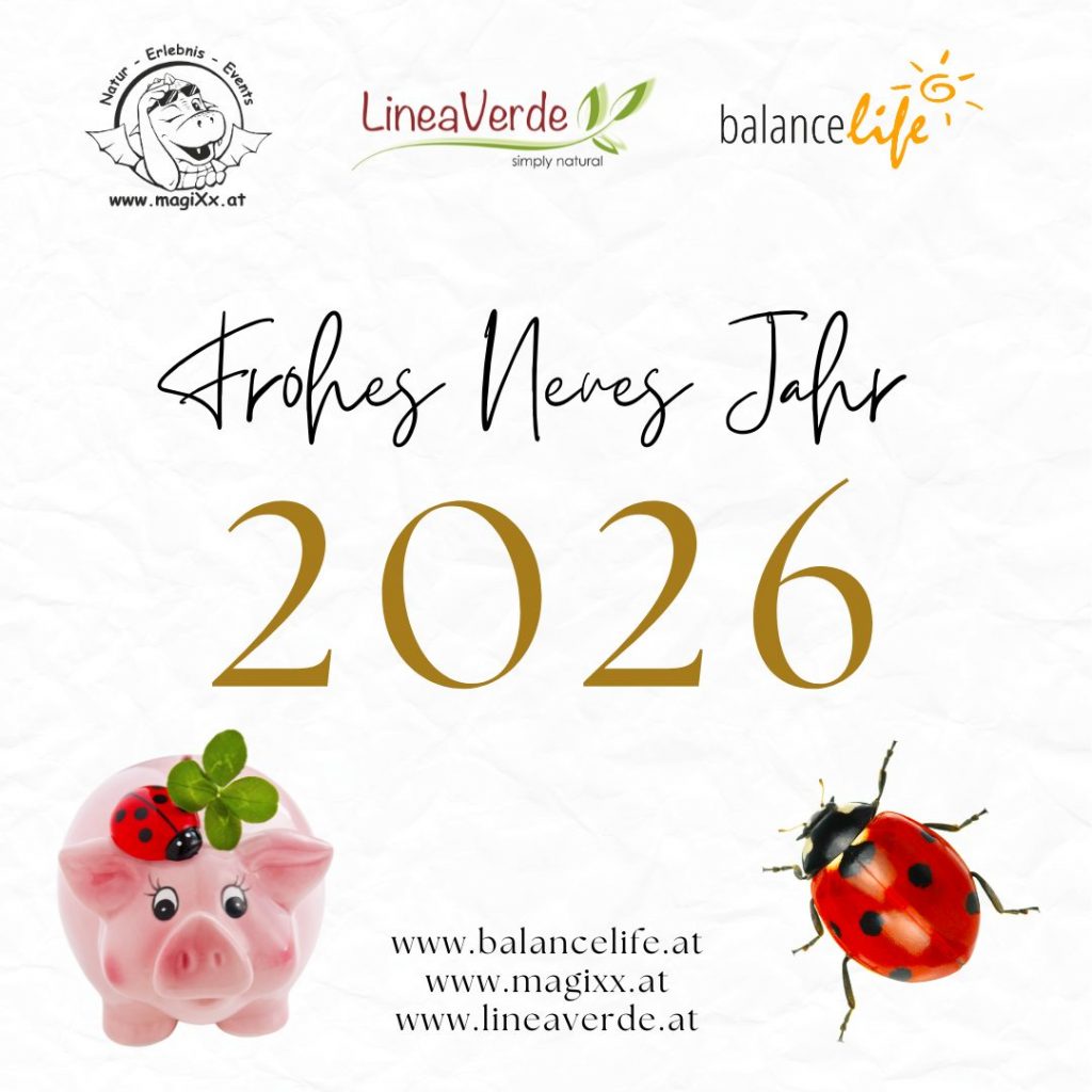 Happy New Year 2026! 2 Happy New Year