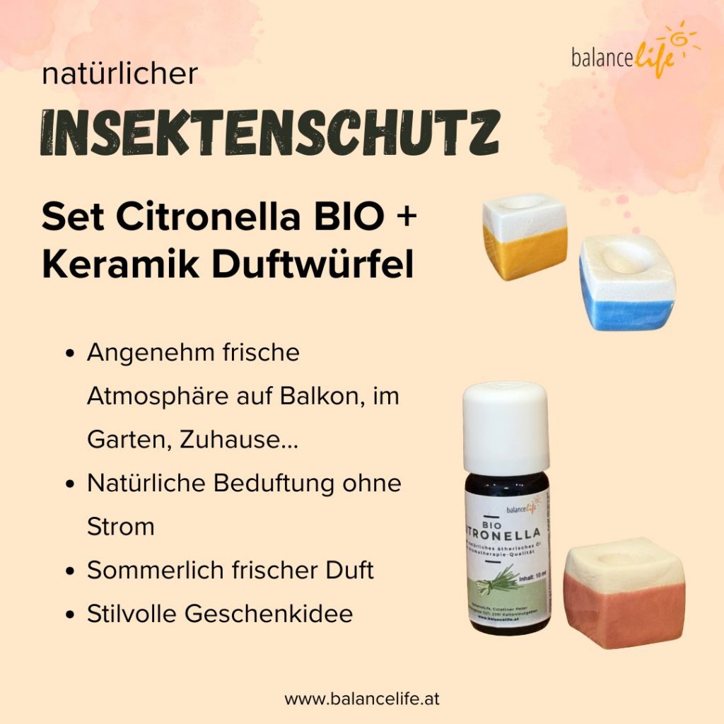 Natürlicher Insektenschutz für laue Nächte, Grillpartys & entspannte Sommermomente 5 Insektenschutz Anti-Summ